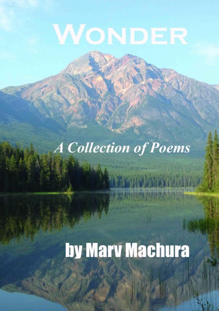 COVER  of Marv Machura book wonder